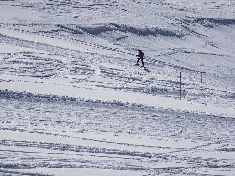 Frau geniesst Schneeschuh Wanderung über weissen Pulverteppich auf Pischa. | © Davos Klosters Mountains